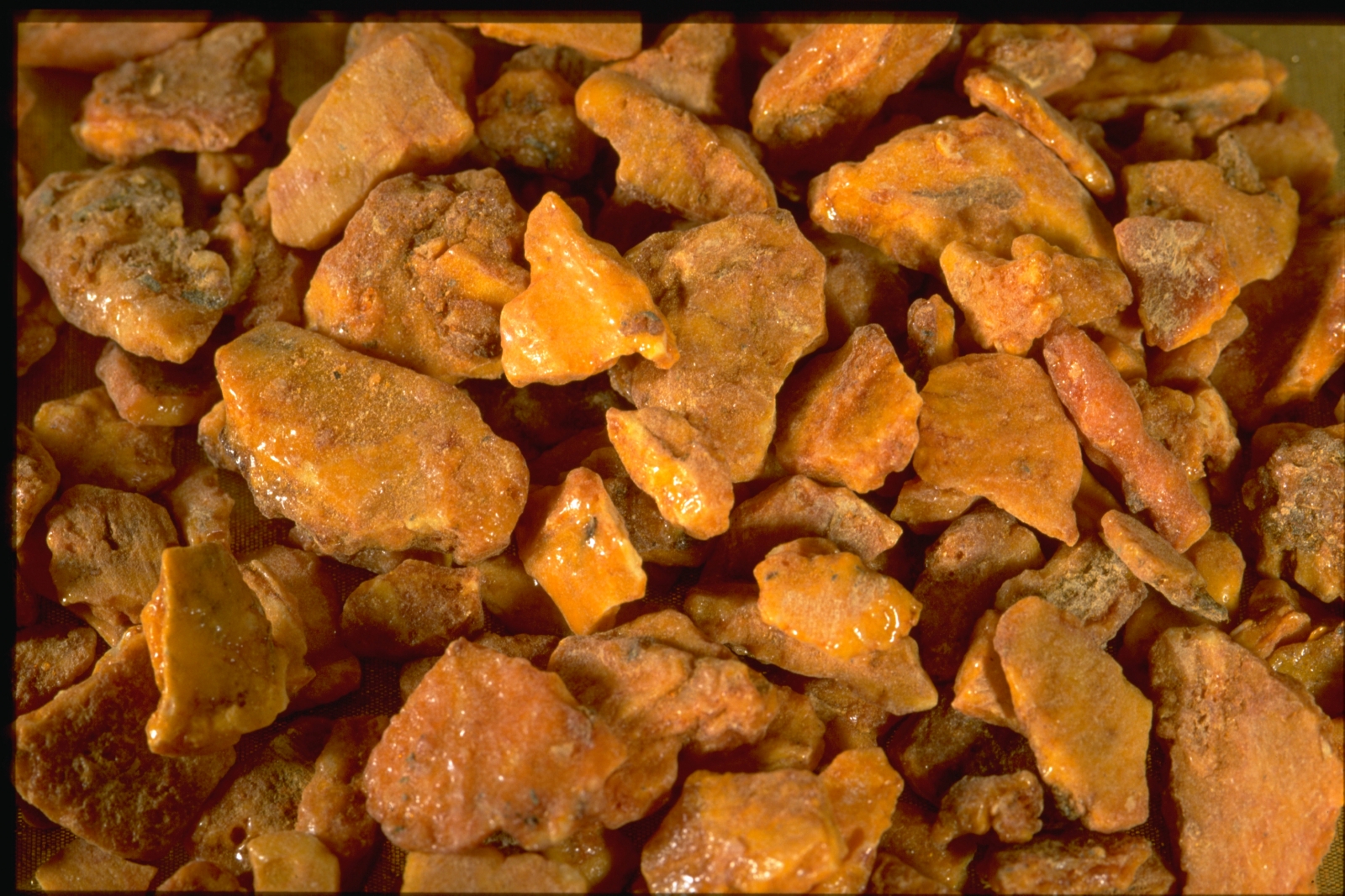 Votre univers olfactif avec Osmoz ! - OSMOZ